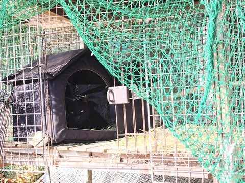 20251121_111626~2_copy_816x612