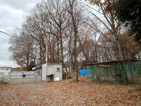 20221130_114520_copy_800x600