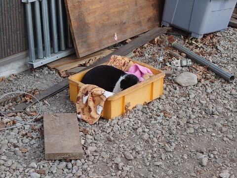 20230302_160418_copy_800x600