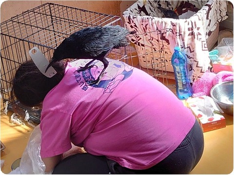 DSC_4418_copy_1817x1220_copy_800x599