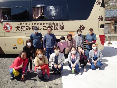 DSC_4232_copy_800x600