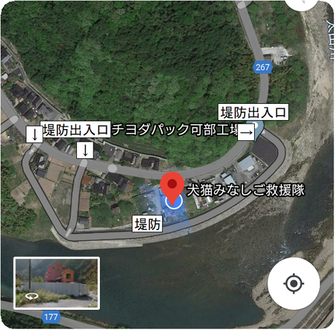 Screenshot_20200503-083301_c