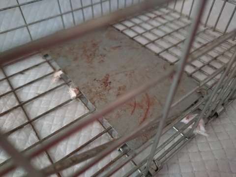 20250220_094537_copy_800x600