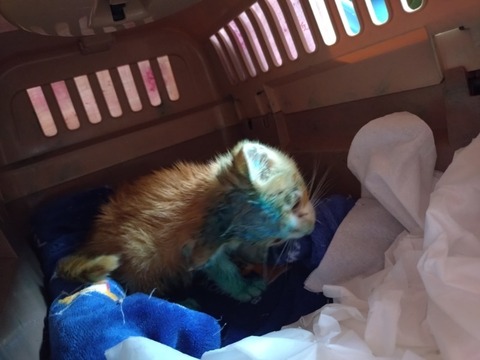 20251025_094123_copy_800x600