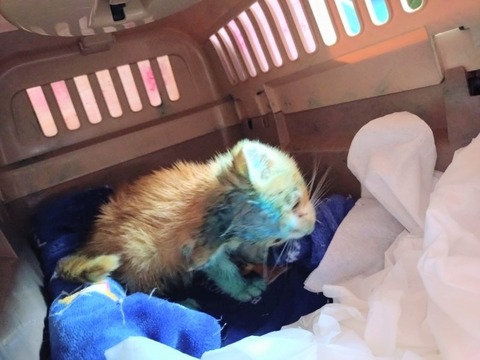 20251025_094123_copy_800x600~2_copy_800x600