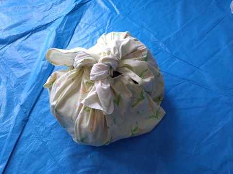 20250827_122343_copy_800x600
