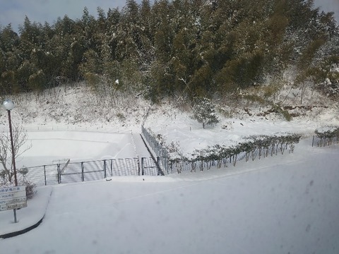 DSC_3348_copy_800x600