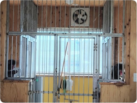 20250116_134941-EDIT