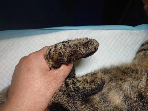 DSC_1622_copy_800x600