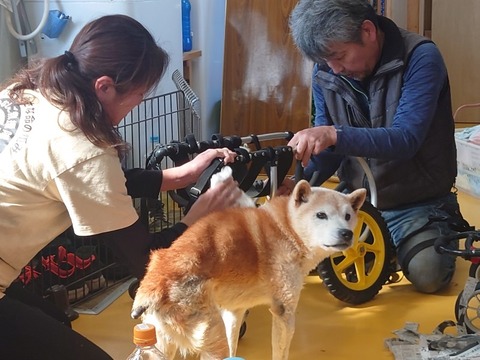 20240308_134427_copy_800x600