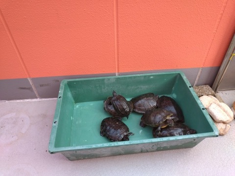 20260223_152657_copy_800x600