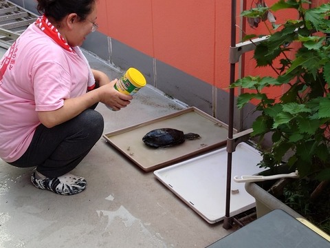 20230820_175001_copy_800x600