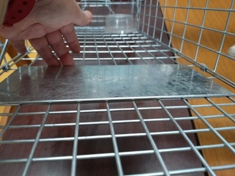 20251228_135201_copy_800x600