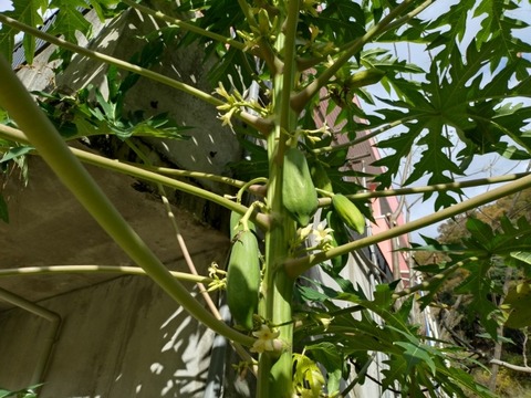 20251128_101008_copy_800x600_1