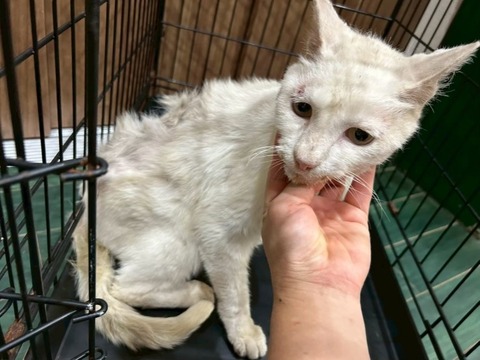 1765613778552_copy_738x554