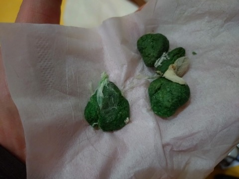 20260221_074406_copy_800x600