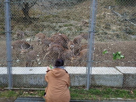 DSC_2843_copy_800x600