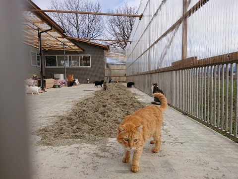 DSC_5882_copy_800x600