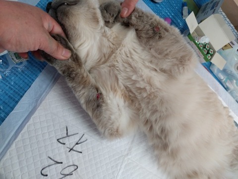 20251221_113422_copy_800x600