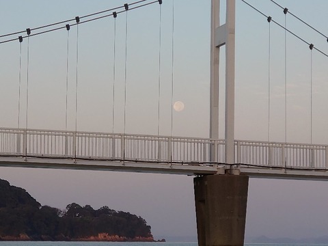 DSC_0649_copy_800x600