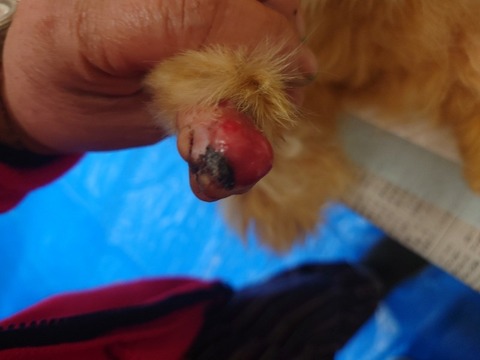 20240124_090544~2_copy_800x600