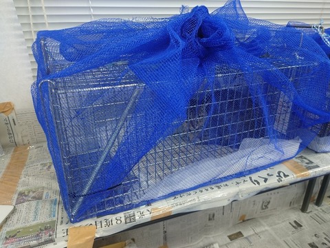 20220725_080157_copy_800x600