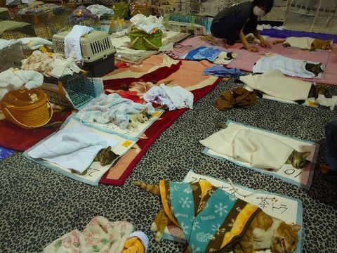 DSC_1630_copy_800x600