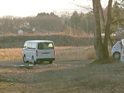 DSC_5734_copy_800x600