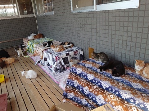 DSC_1283_copy_800x600