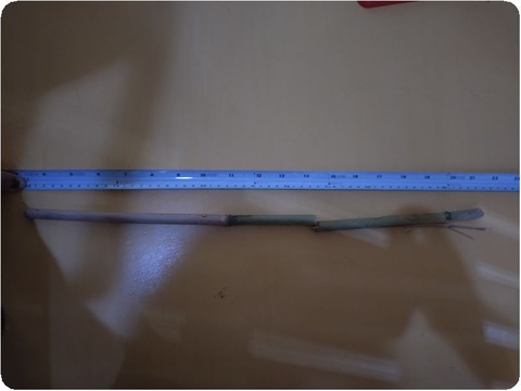 20240402_094217~2