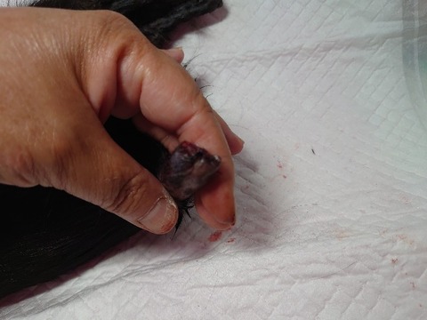 DSC_0618_copy_800x600