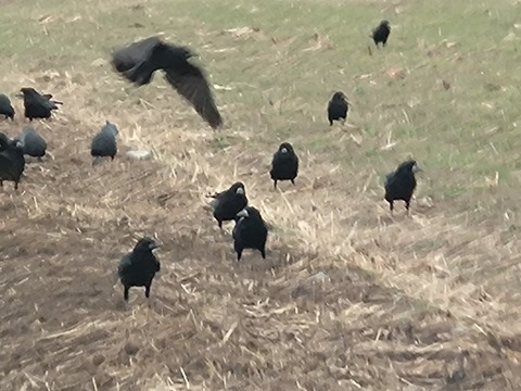 20260211_153929_copy_800x599