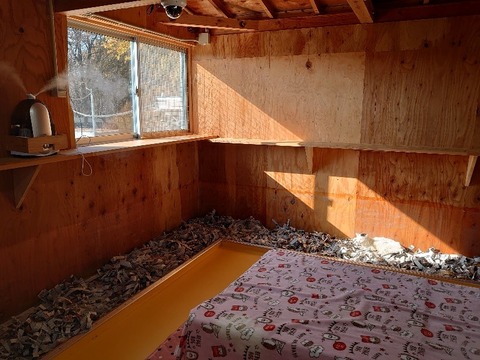 DSC_1278_copy_800x600