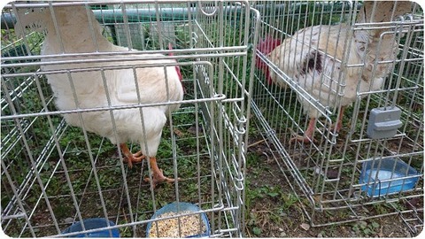 DSCPDC_0002_BURST20181125082