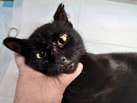 DSC_3384_copy_800x600