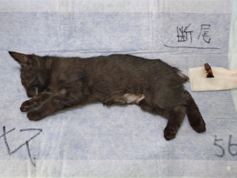 20251202_115530_copy_800x600