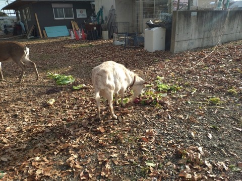 20260102_090312_copy_800x600