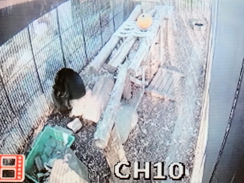 20260103_080603~2_copy_816x612