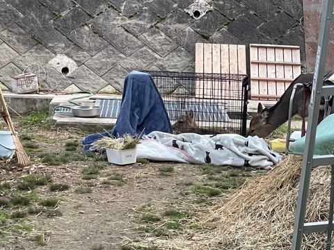 1677495765501_copy_800x600