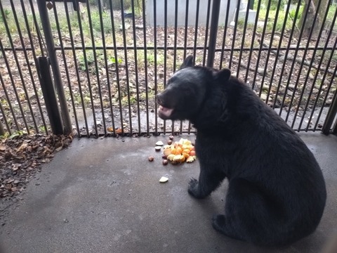 20251106_072805_copy_800x600