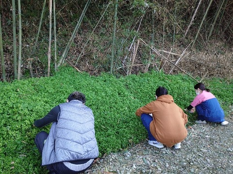 DSC_3380_copy_800x600