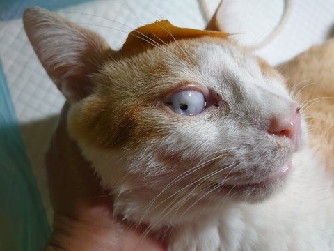 DSC_1640_copy_800x600