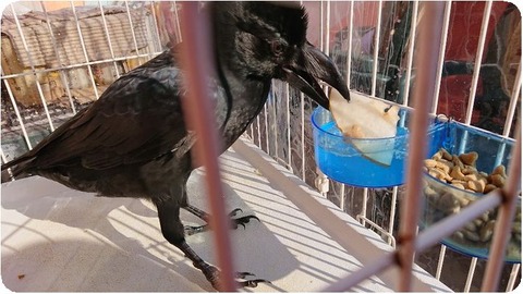 DSCPDC_0003_BURST20181117101