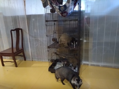 20260301_072724_copy_800x600