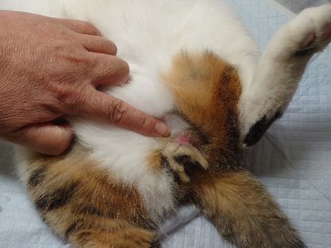 DSC_1233_copy_800x600