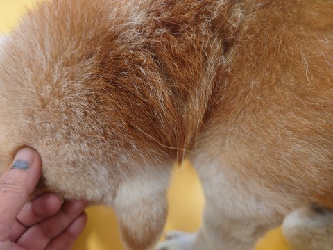 20240305_140637_copy_800x600