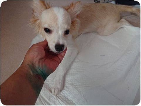 DSCPDC_0000_BURST20190804104
