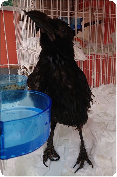 DSCPDC_0003_BURST20180627083