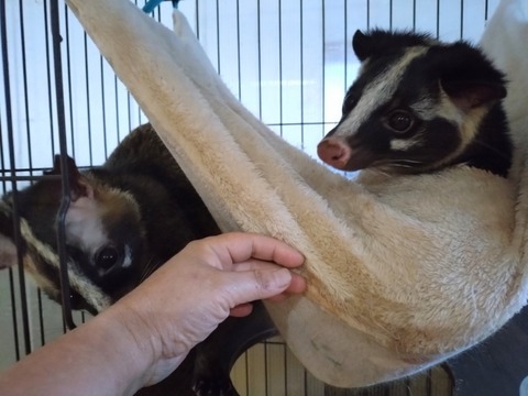 20260224_074657_copy_800x600