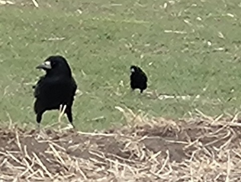 20260211_154010_copy_800x605